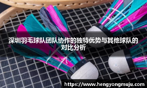 深圳羽毛球队团队协作的独特优势与其他球队的对比分析