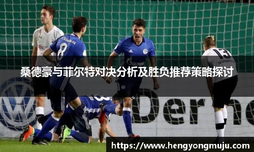 桑德豪与菲尔特对决分析及胜负推荐策略探讨