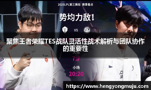 聚焦王者荣耀TES战队灵活性战术解析与团队协作的重要性